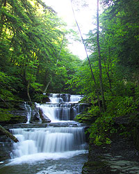 gorge.jpg
